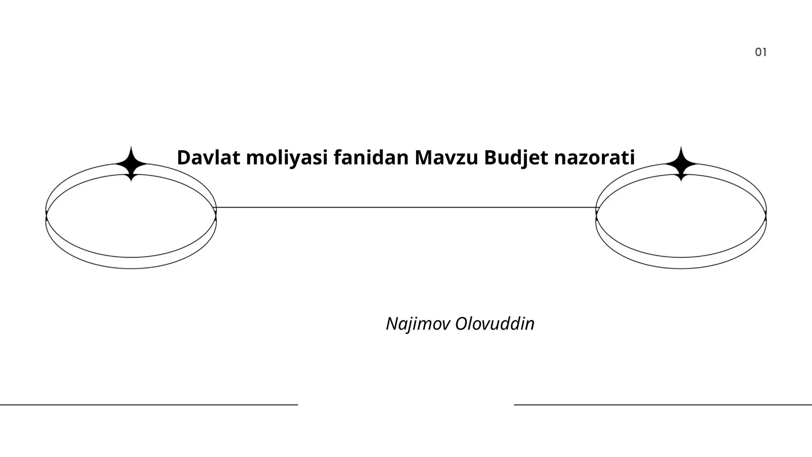 Budjet nazorati