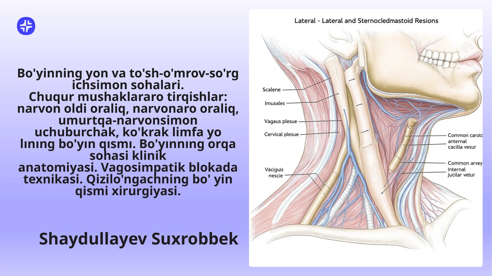 Bo'yinning yon va to'sh-o'mrov-so'rgichsimonsohalari