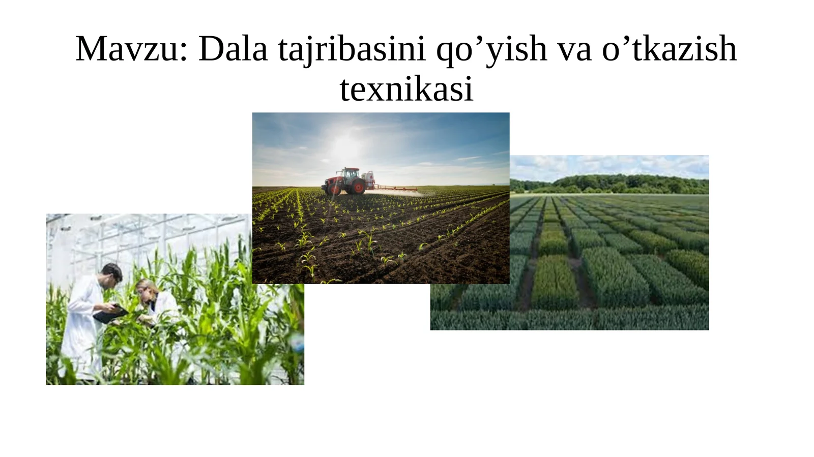 Dalatajribasiniqo’yishvao’tkazishtexnikasi