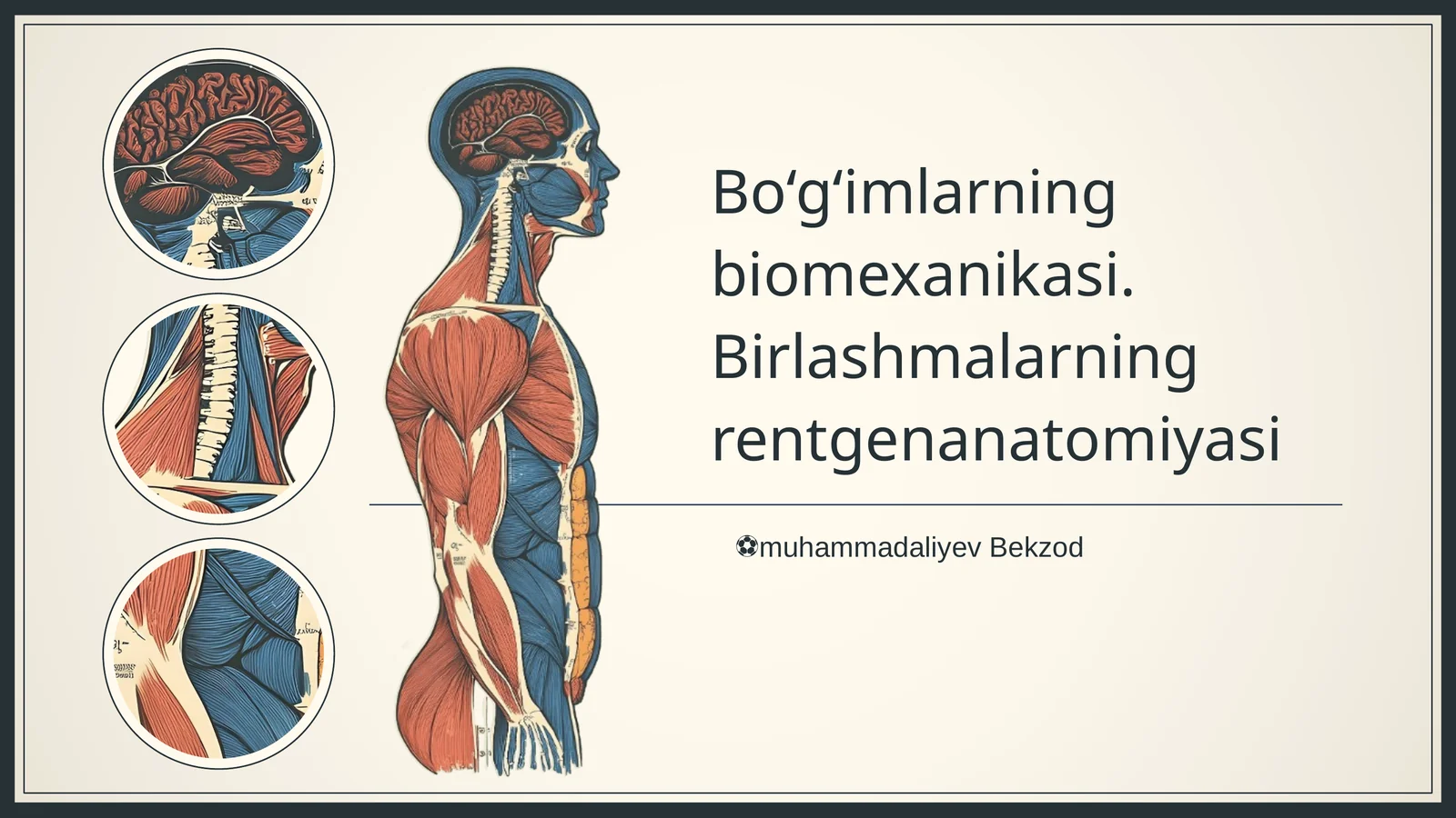 Bo‘g‘imlarning biomexanikasi. Birlashmalarning rentgenanatomiyasi