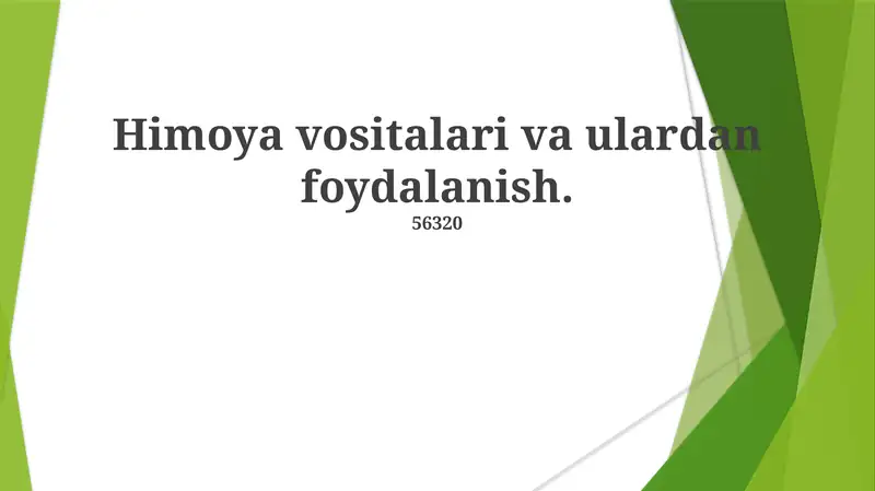 Shaxsiy Himoya Vositalari (SHV)