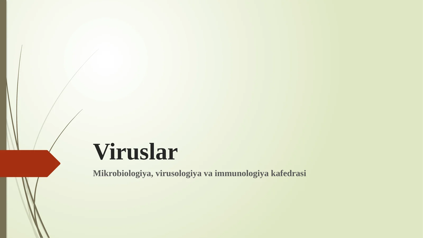 Viruslar