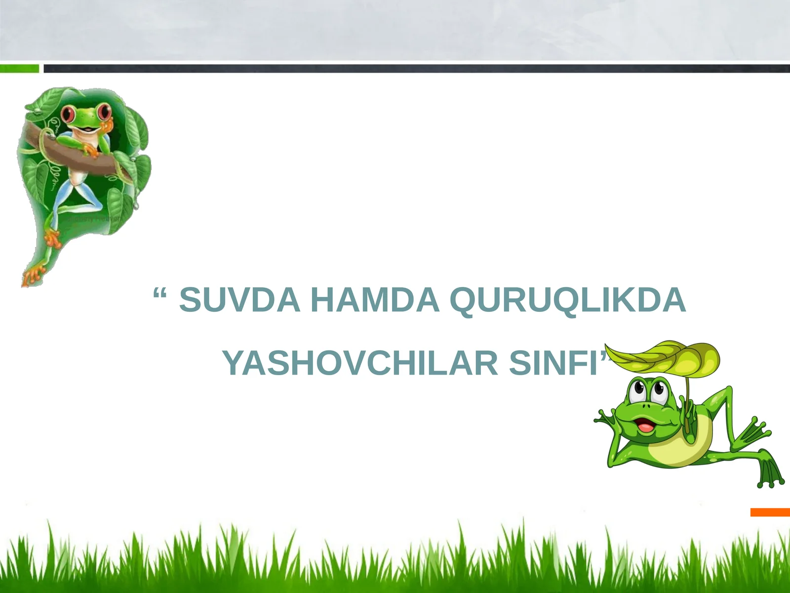 SUVDAHAMDA QURUQLIKDA YASHOVCHILAR SINFI