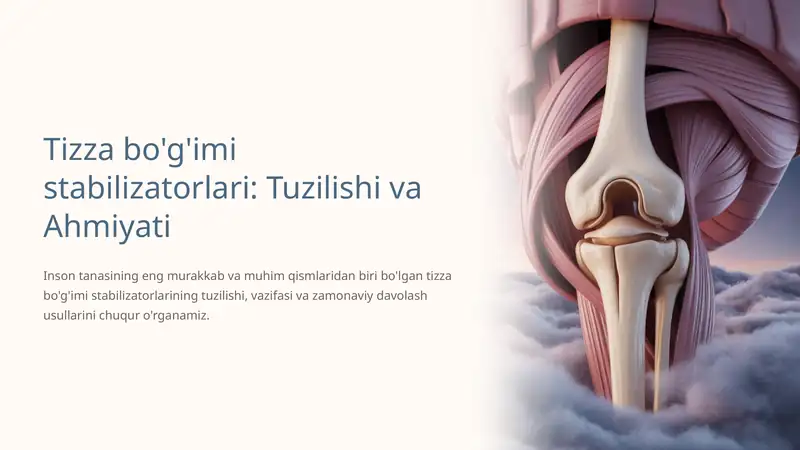 Tizza bo'g'imi stabilizatorlari: Tuzilishi va Ahmiyati