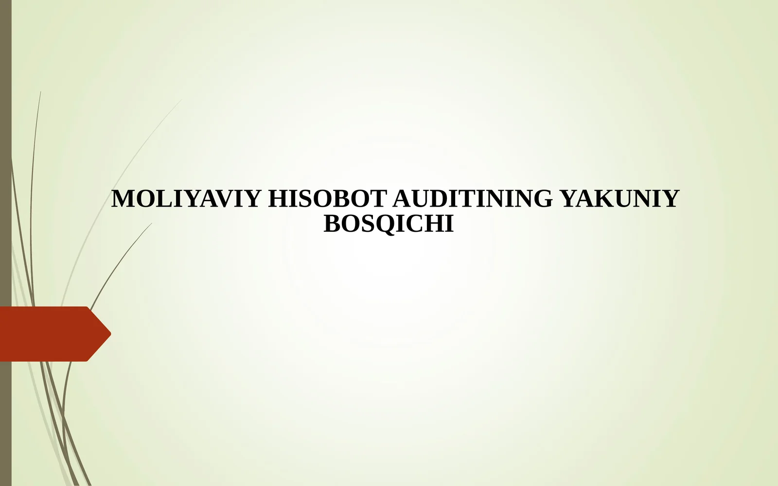 MOLIYAVIY HISOBOT AUDITINING YAKUNIY BOSQICHI