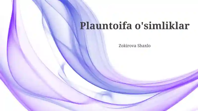 Plauntoifa o'simliklar