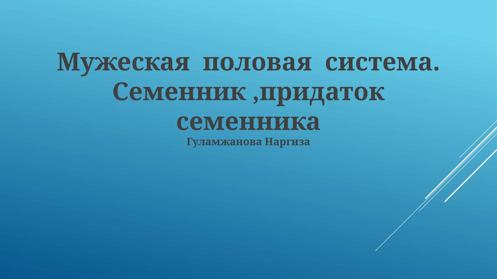 Мужеская половая система. Семенник,придаток семенника