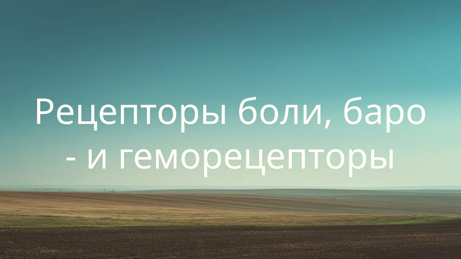 Рецепторы боли, баро - и геморецепторы