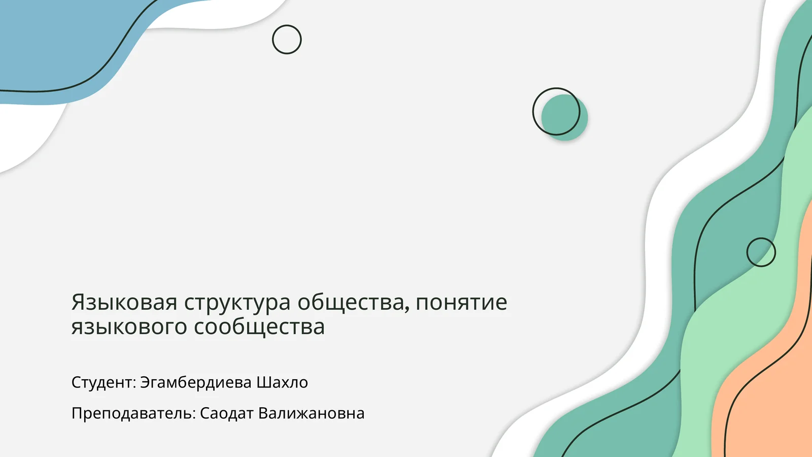 Языковая структура общества, понятие языкового сообщества