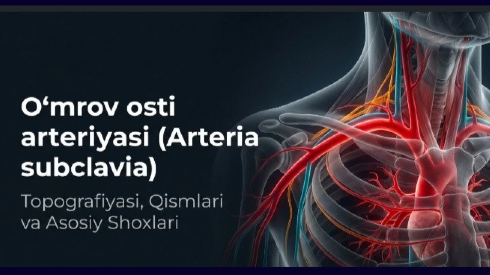O'mrov osti arteriyasi