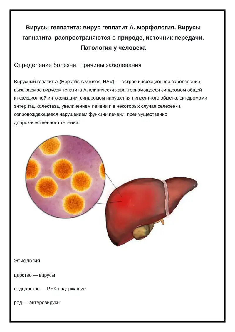 Вирус геппатит А