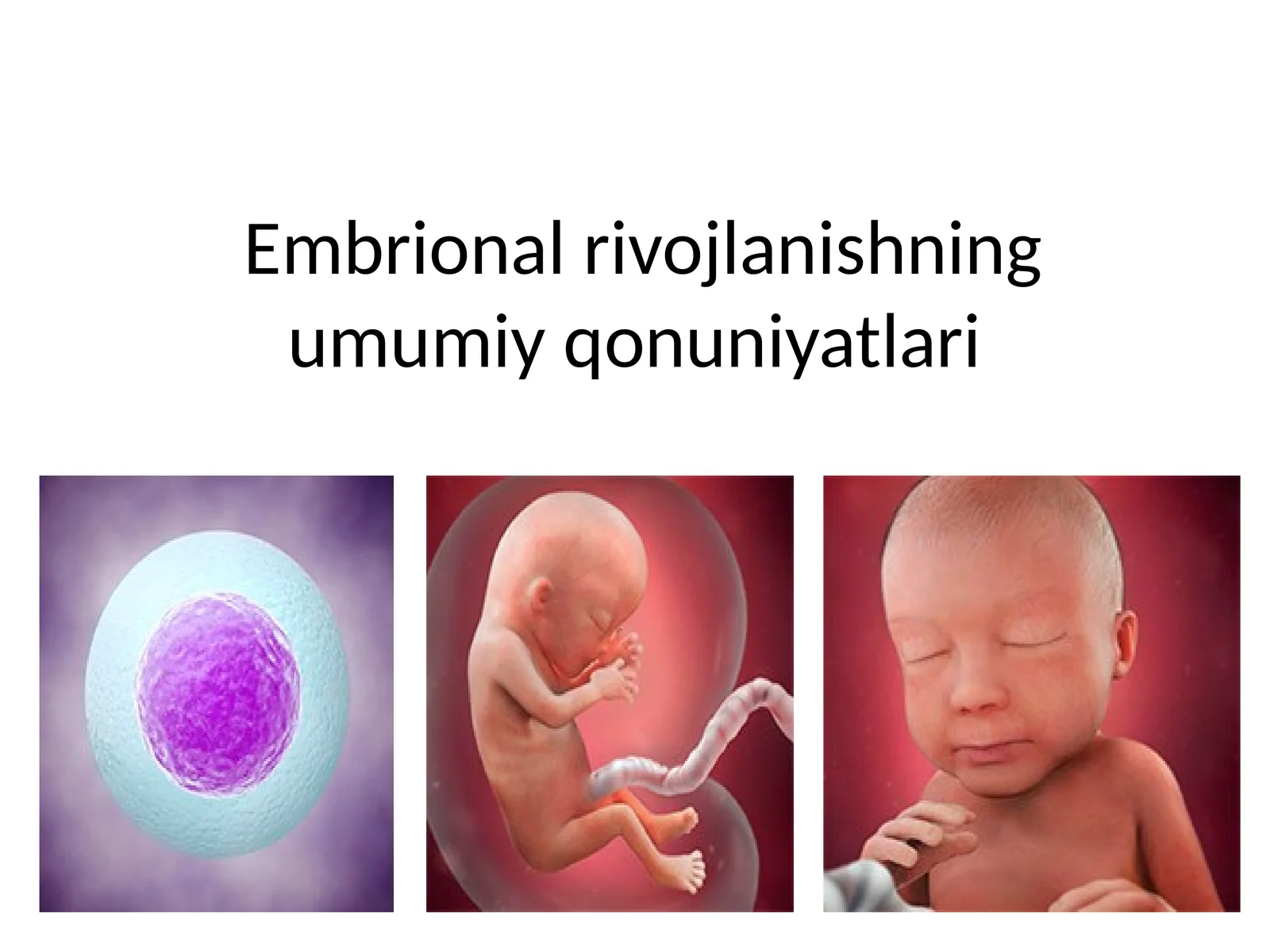 Embrional rivojlanishning umumiy qonuniyatlari