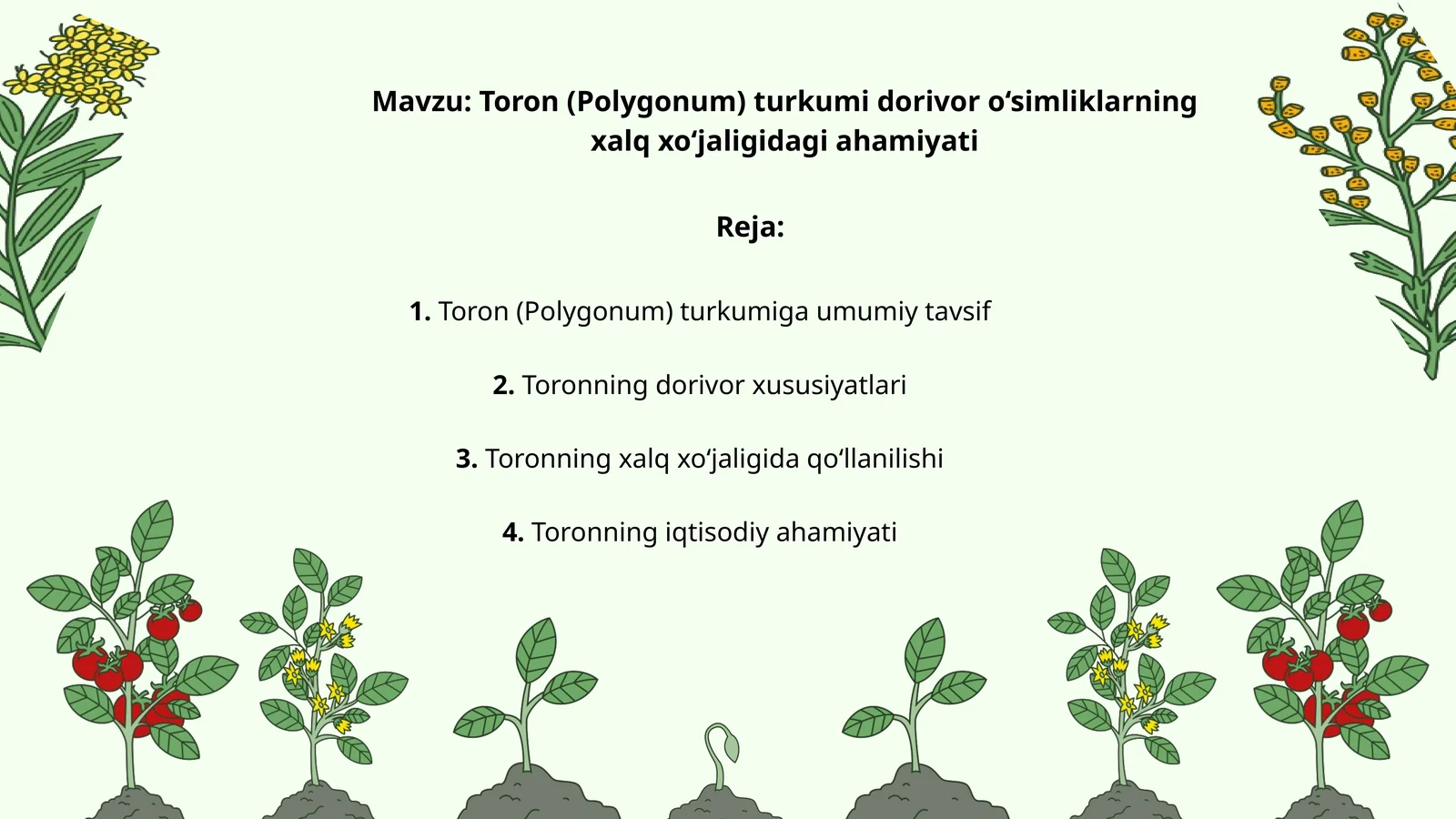 Toron (Polygonum) turkumi dorivor o‘simliklarning xalq xo‘jaligidagi ahamiyati