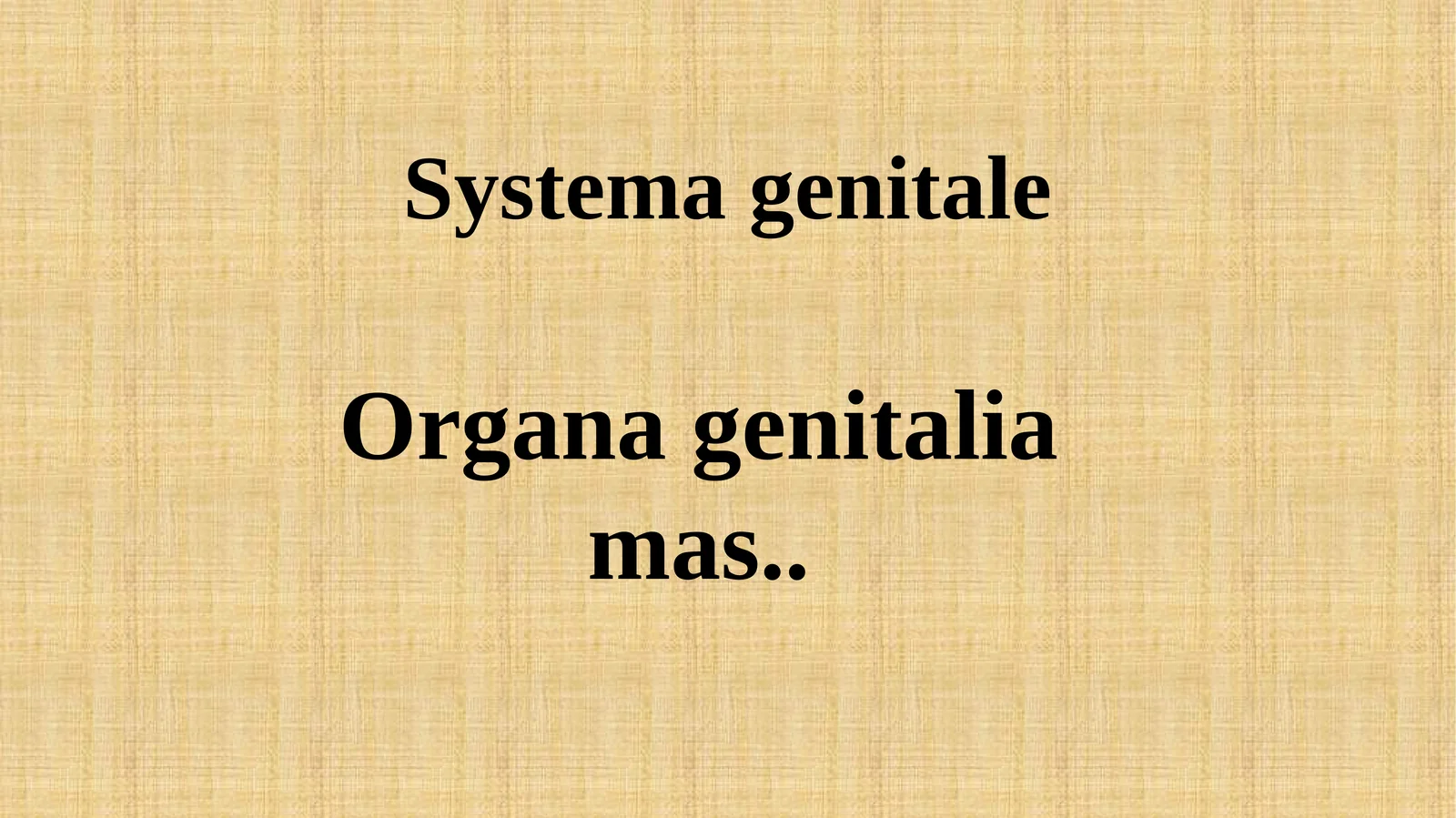 Systemagenitale