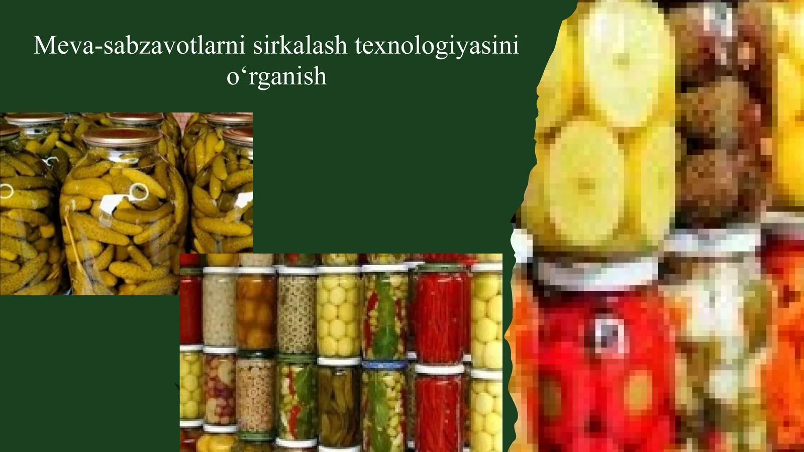 Meva-sabzavotlarni sirkalash texnologiyasini o‘rganish