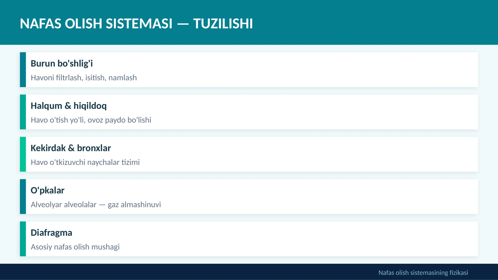 NAFAS OLISH SISTEMASI — TUZILISHI