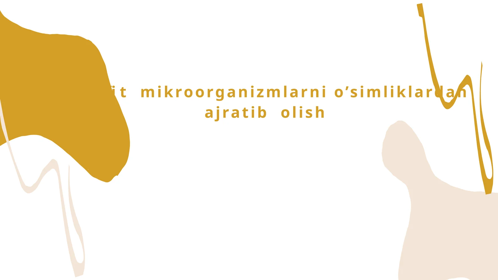 Endofit mikroorganizmlarni o’simliklardan ajratib olish