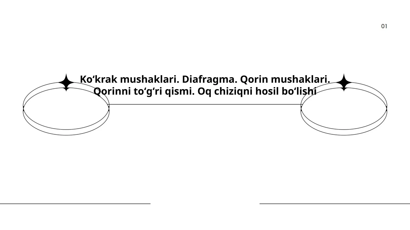 Koʻkrak mushaklari anatomiyasi
