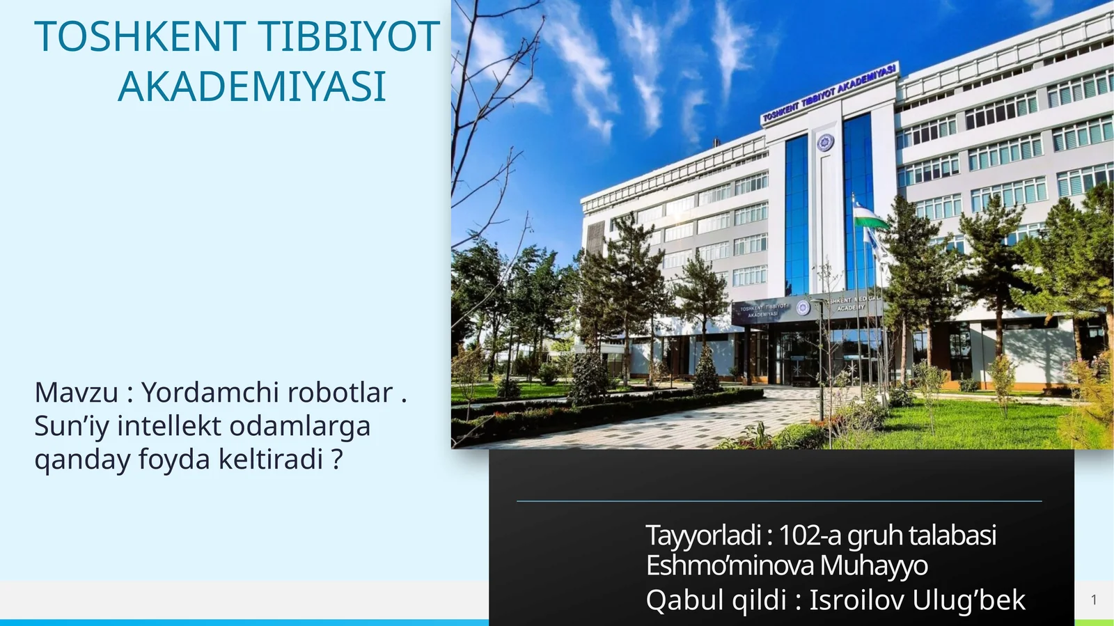 Yordamchi robotlar. Sun’iy intellekt odamlarga qanday foyda keltiradi?