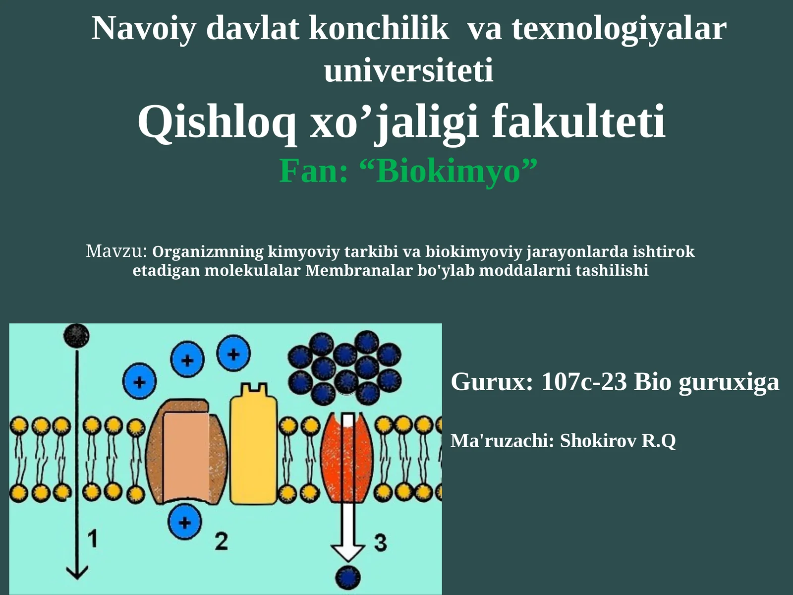 Organizmning kimyoviy tarkibi va biokimyoviy jarayonlarda ishtirok etadigan molekulalar. Membranalar bo'ylab moddalarni tashilishi