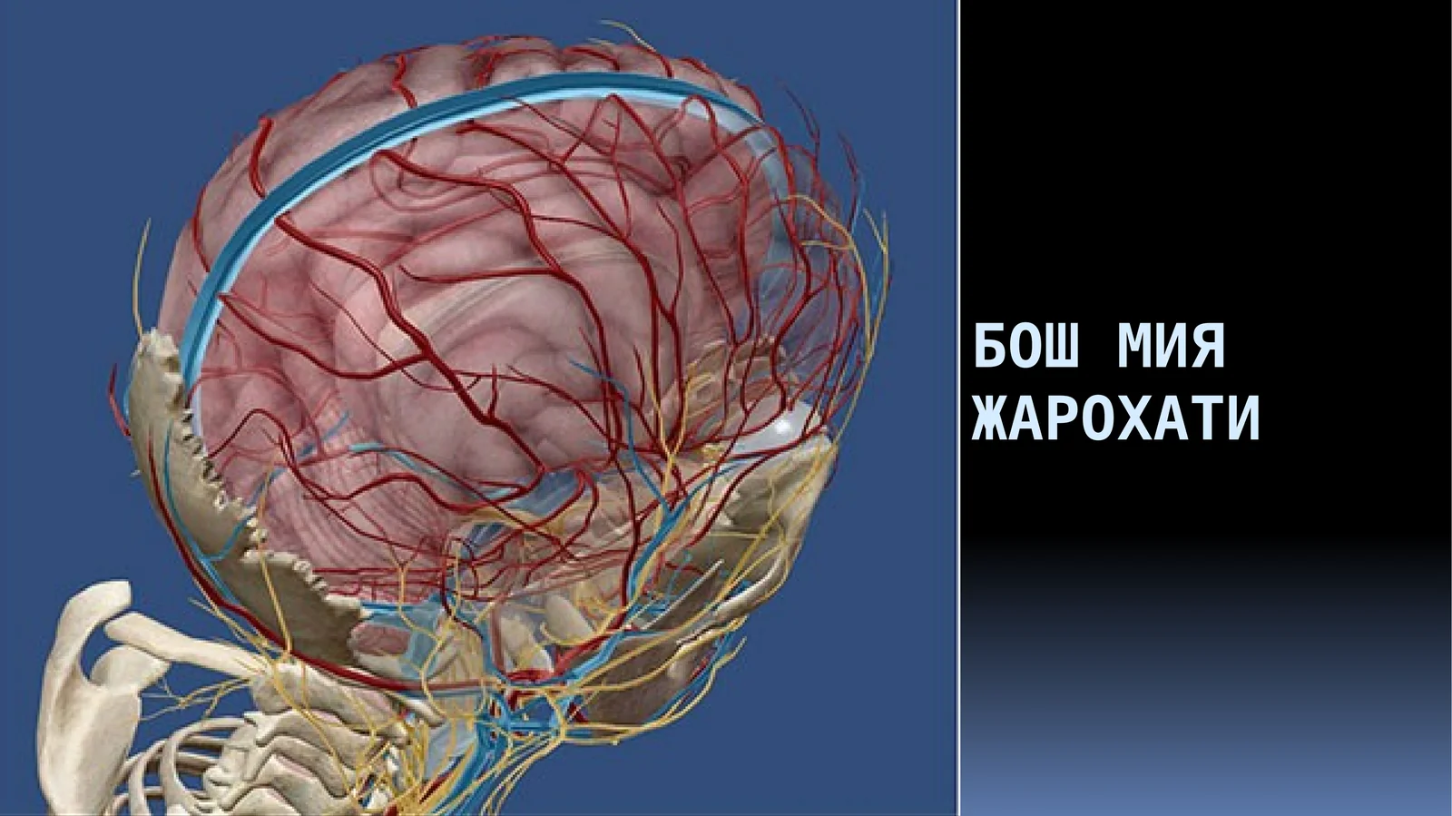 ЖАРОХАТ МЕХАНИЗМИ