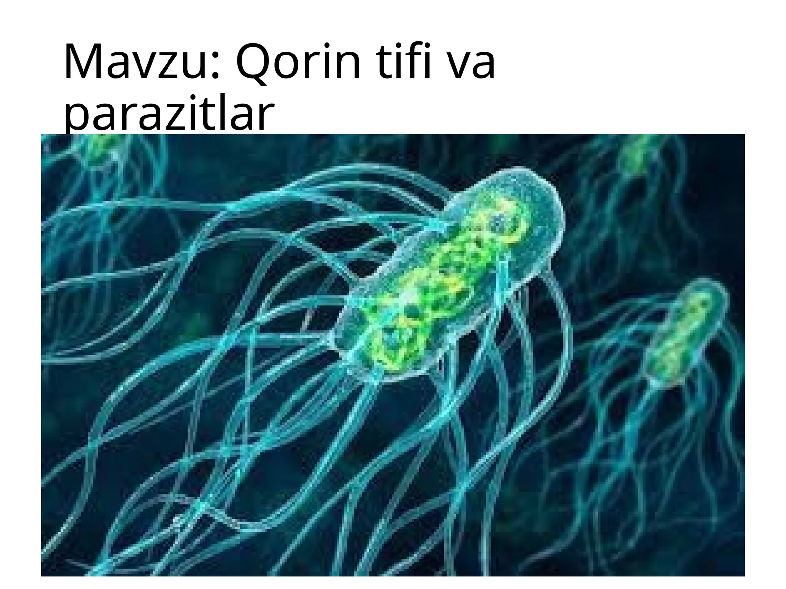 Qorintifivaparazitlar
