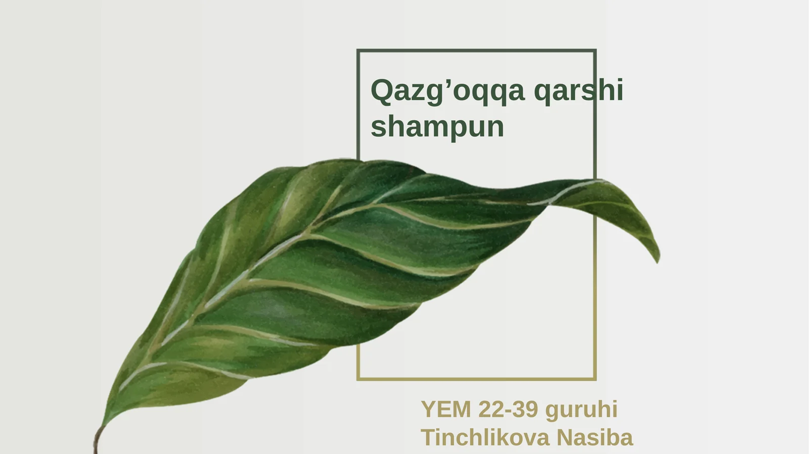 Qazg’oqqa qarshi shampun
