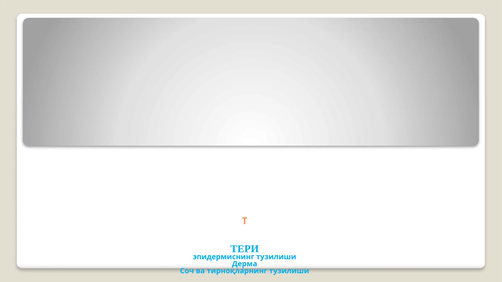 Тери эпидермисининг тузилиши