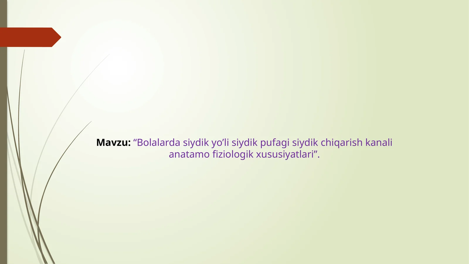 Bolalarda siydik yo’li siydik pufagi siydik chiqarish kanali anatamofiziologik xususiyatlari