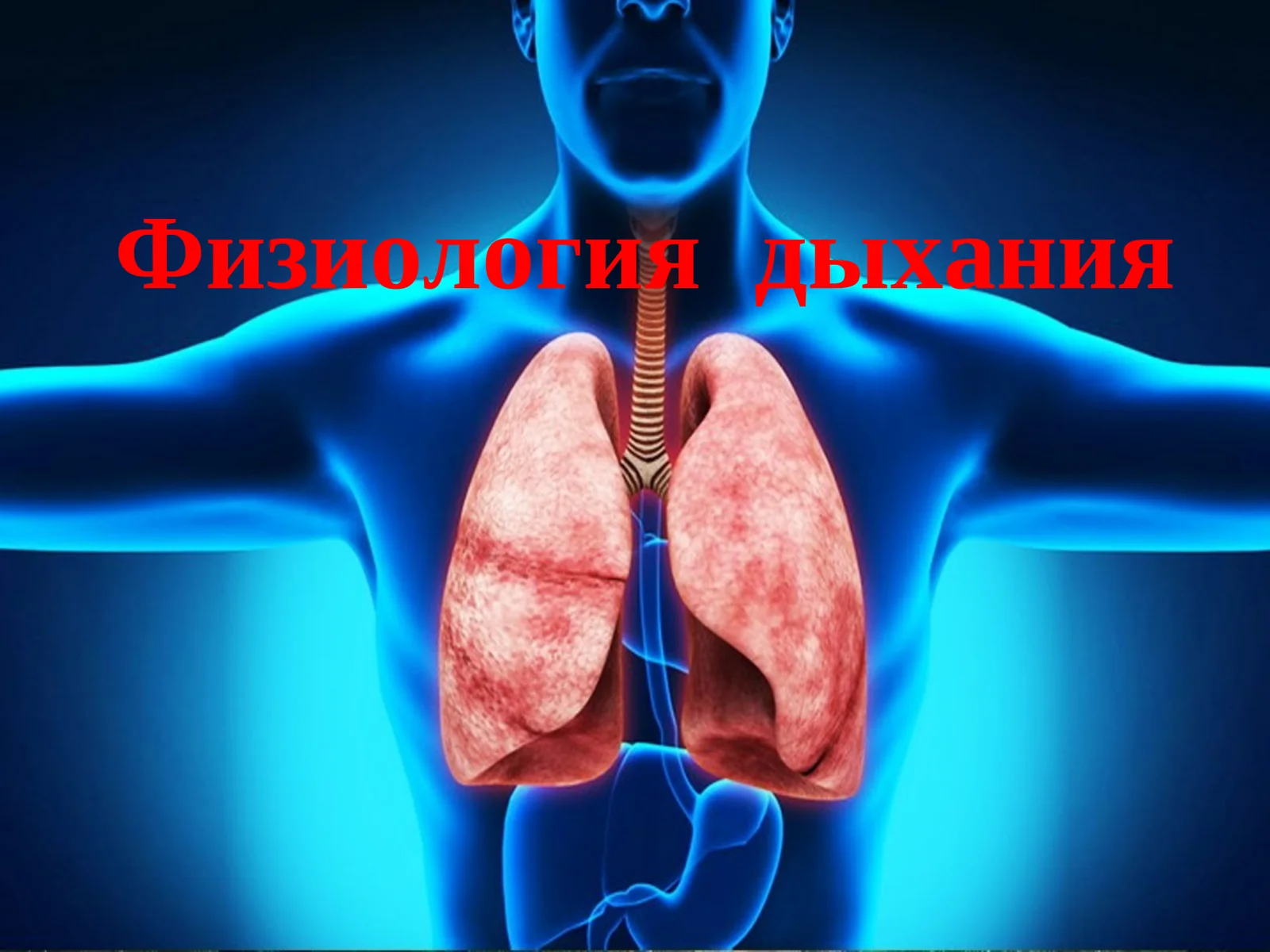 Физиология дыхания