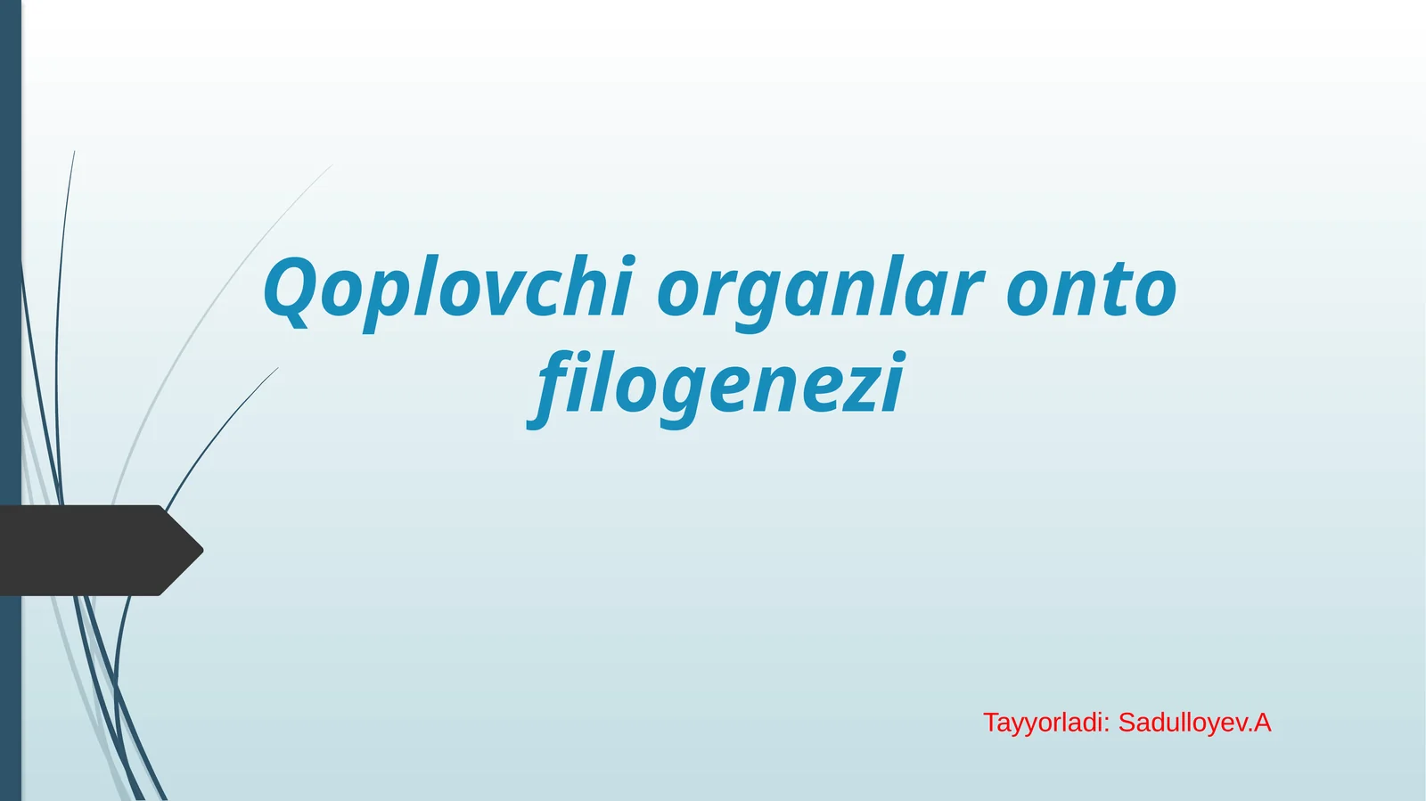 Qoplovchi organlar onto filogenezi.pptx
