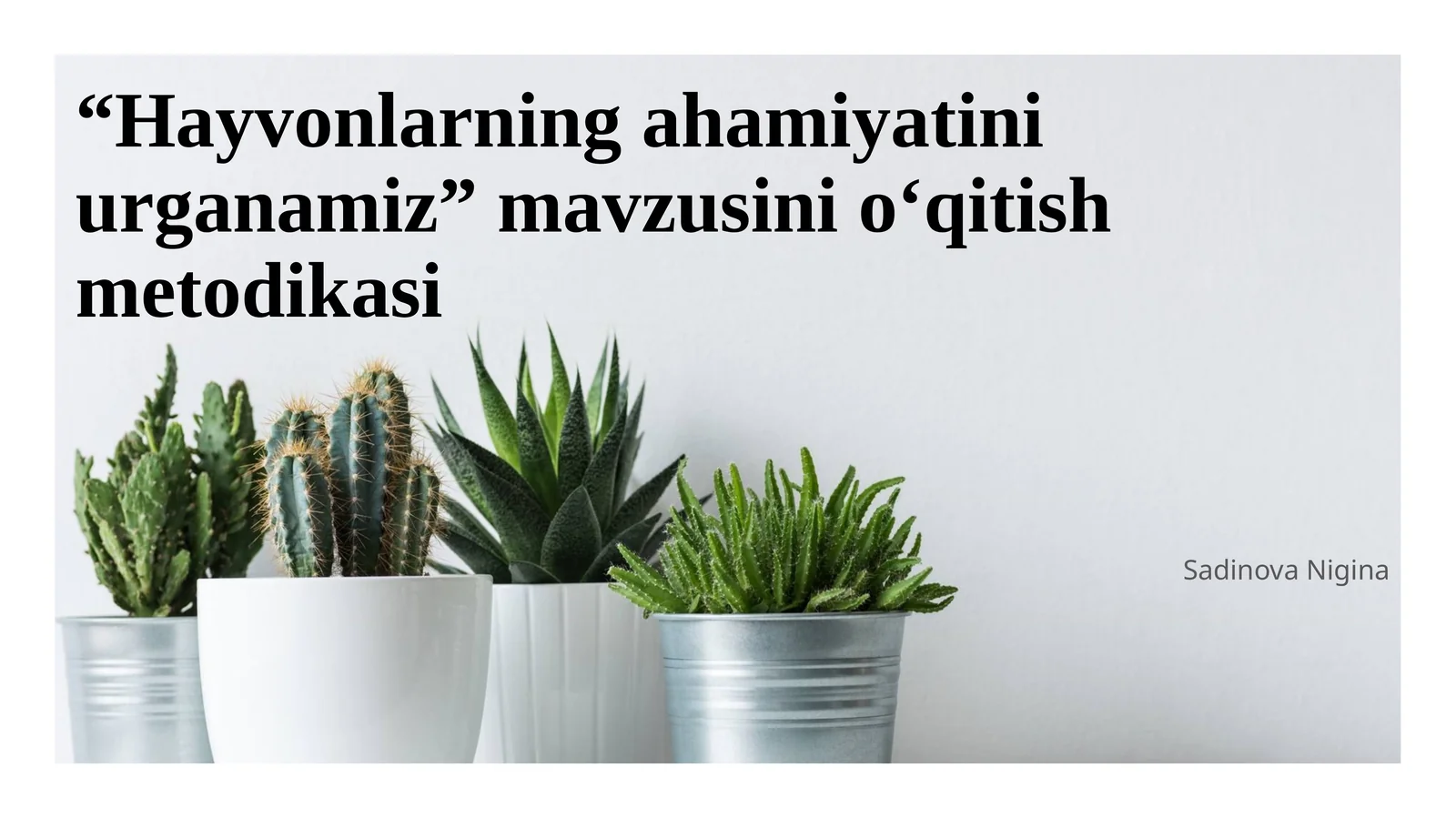 Hayvonlarning ahamiyatini urganamiz