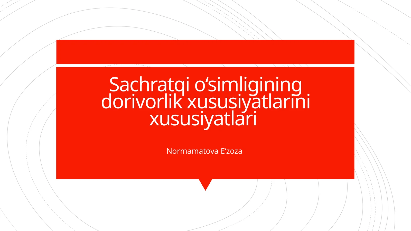 Sachratqi o‘simligining dorivorlik xususiyatlarini xususiyatlari