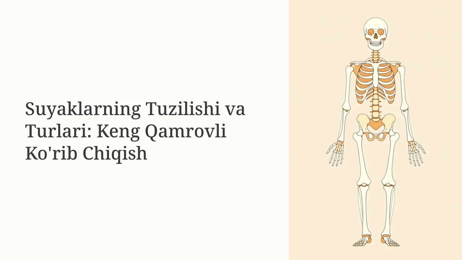 Suyaklarning Tuzilishi va Turlari: Keng Qamrovli Ko'rib Chiqish