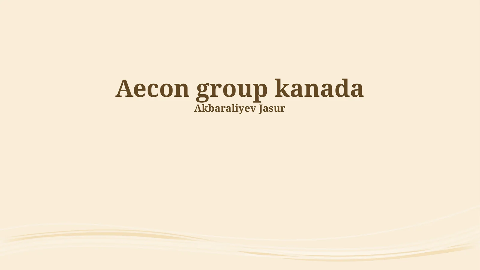 Aecon Group: Umumiy ko'rinish