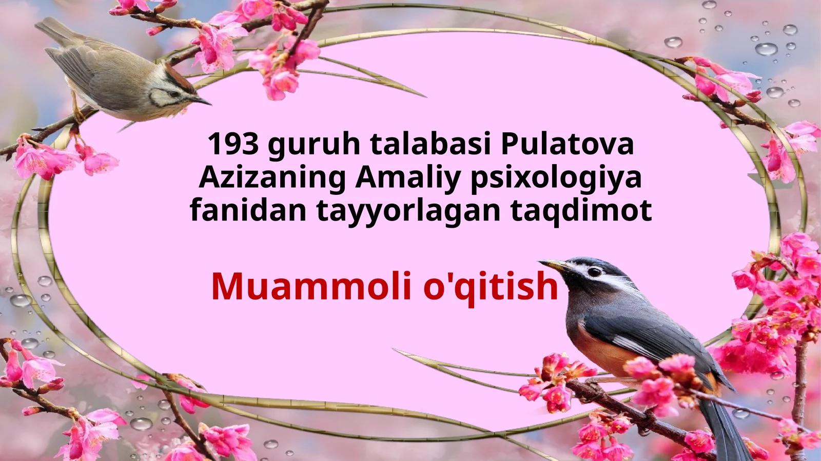 Muammoli o'qitish