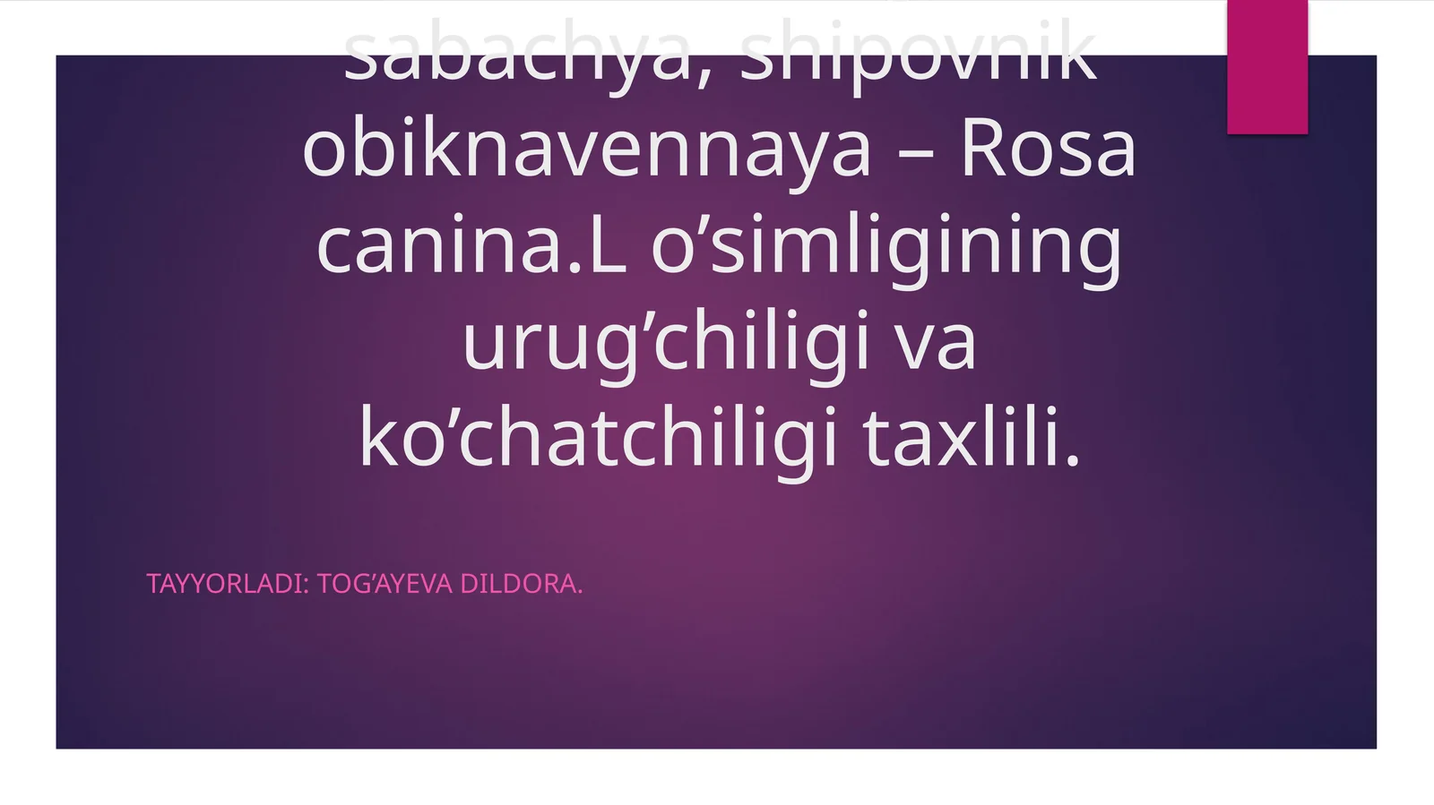 Itburunna’matagi, rosa, sabachya, shipovnik obiknavennaya– Rosa canina.L