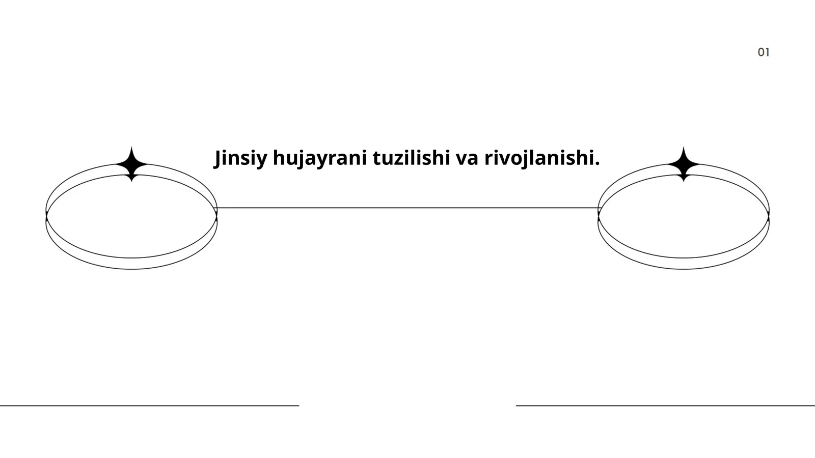 Jinsiy hujayrani tuzilishi va rivojlanishi