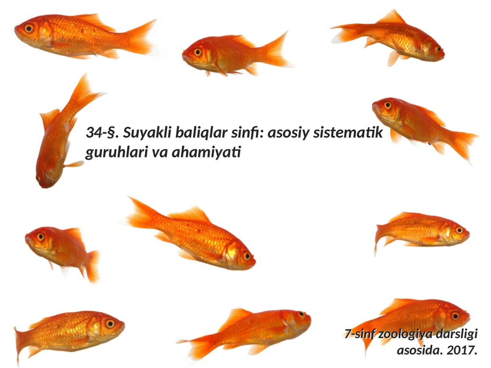 7-sinf Zoologiya 'Suyakli baliqlar sinfi asosiy sistematik guruhlari va ahamiyati' ko'rgazma