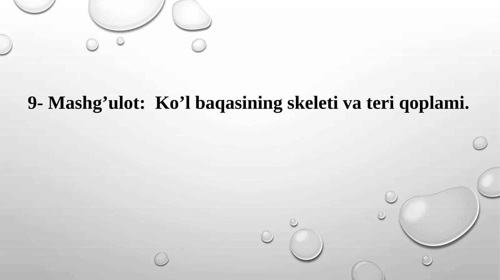 Ko’l baqasining skeleti va teri qoplami