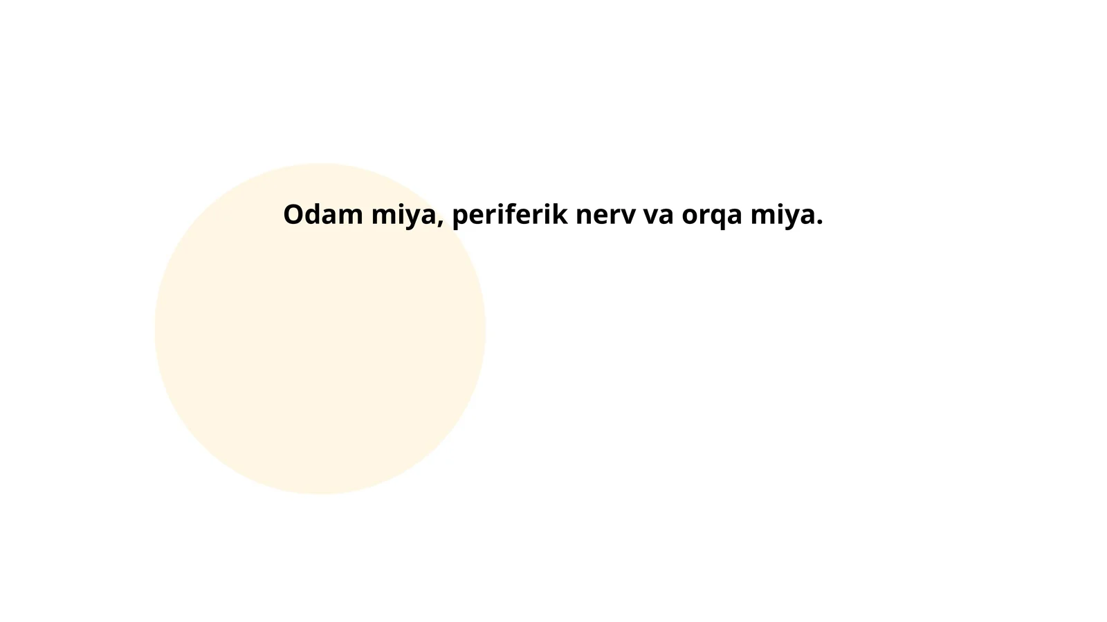 Odam miyasi anatomiyasi
