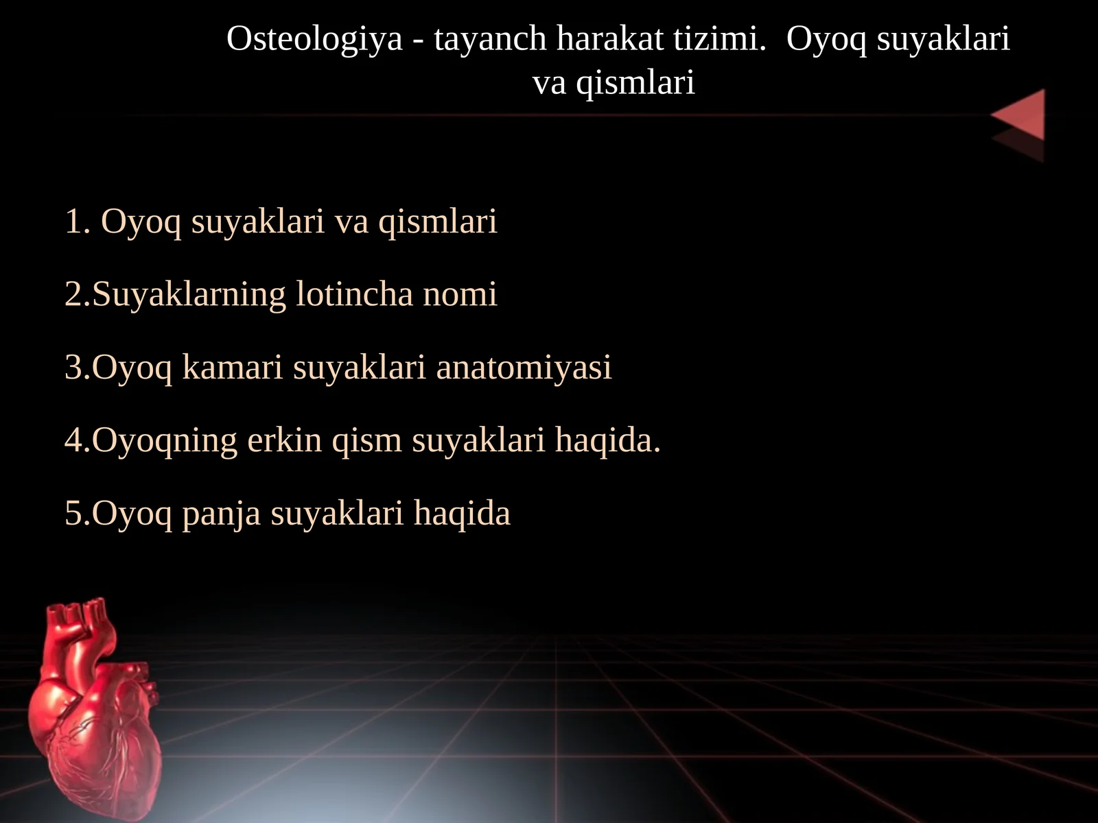 Osteologiya - tayanch harakat tizimi.  Oyoq suyaklari va qismlari