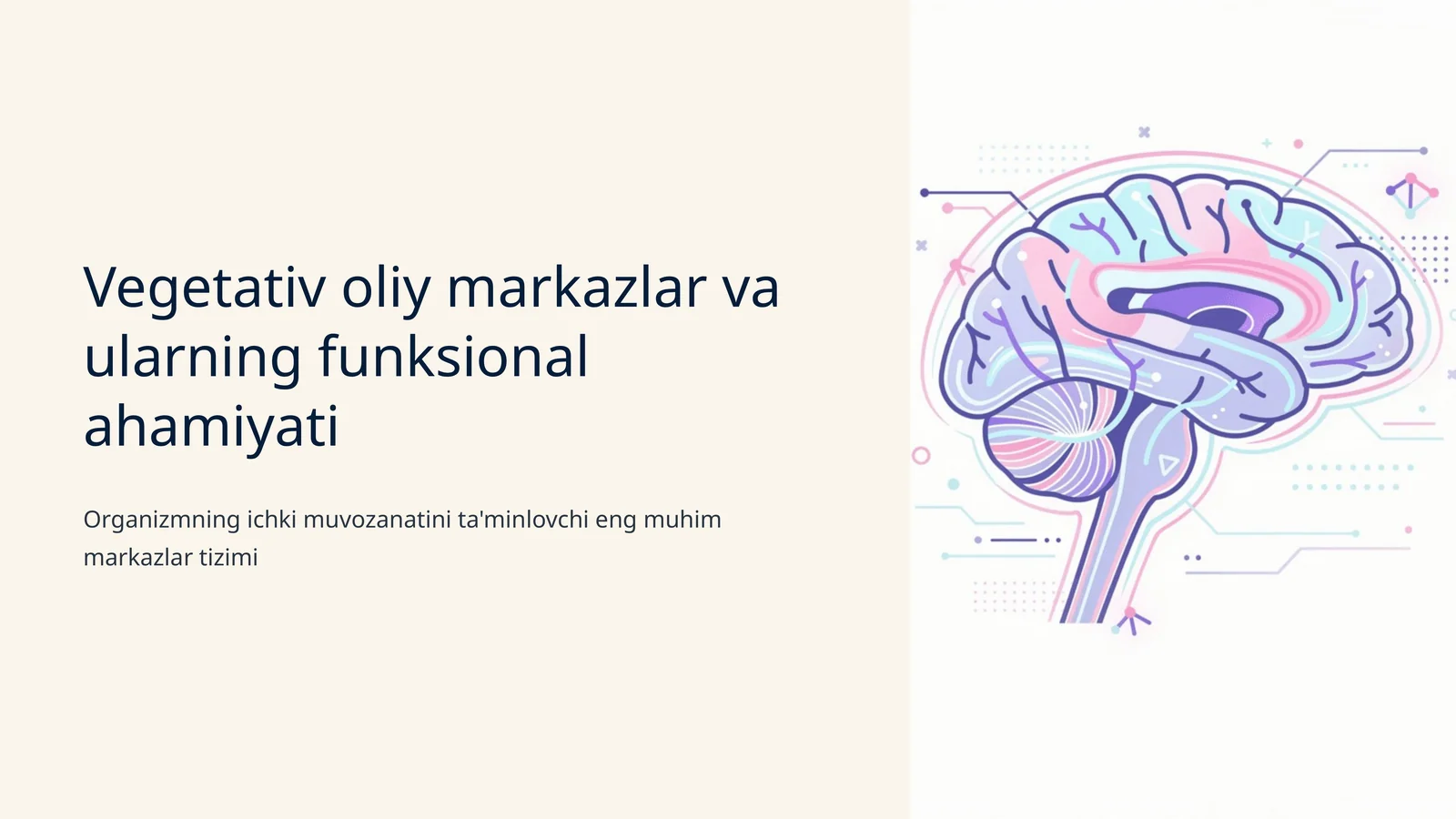 Vegetativ oliy markazlar va ularning funksional ahamiyati