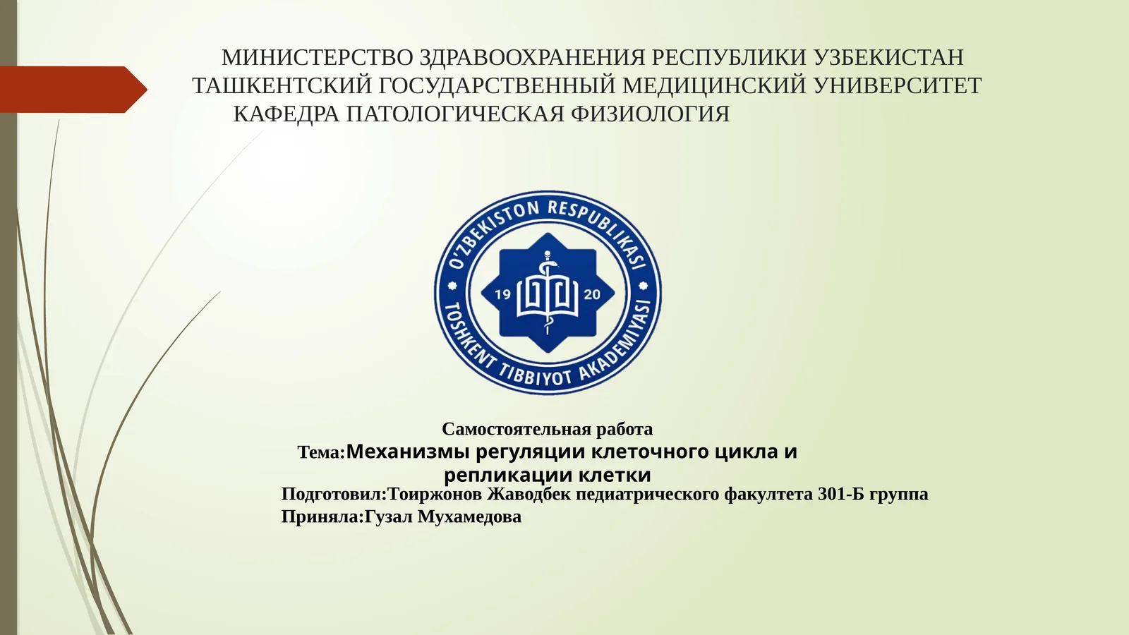 Механизмы регуляции клеточного цикла и репликации клетки