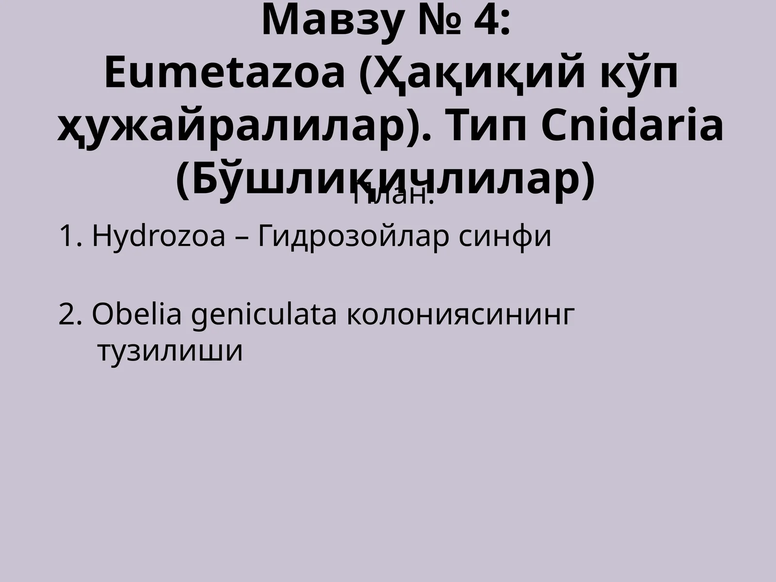 Eumetazoa (Ҳақиқий кўп ҳужайралилар). Тип Cnidaria (Бўшлиқичлилар)
