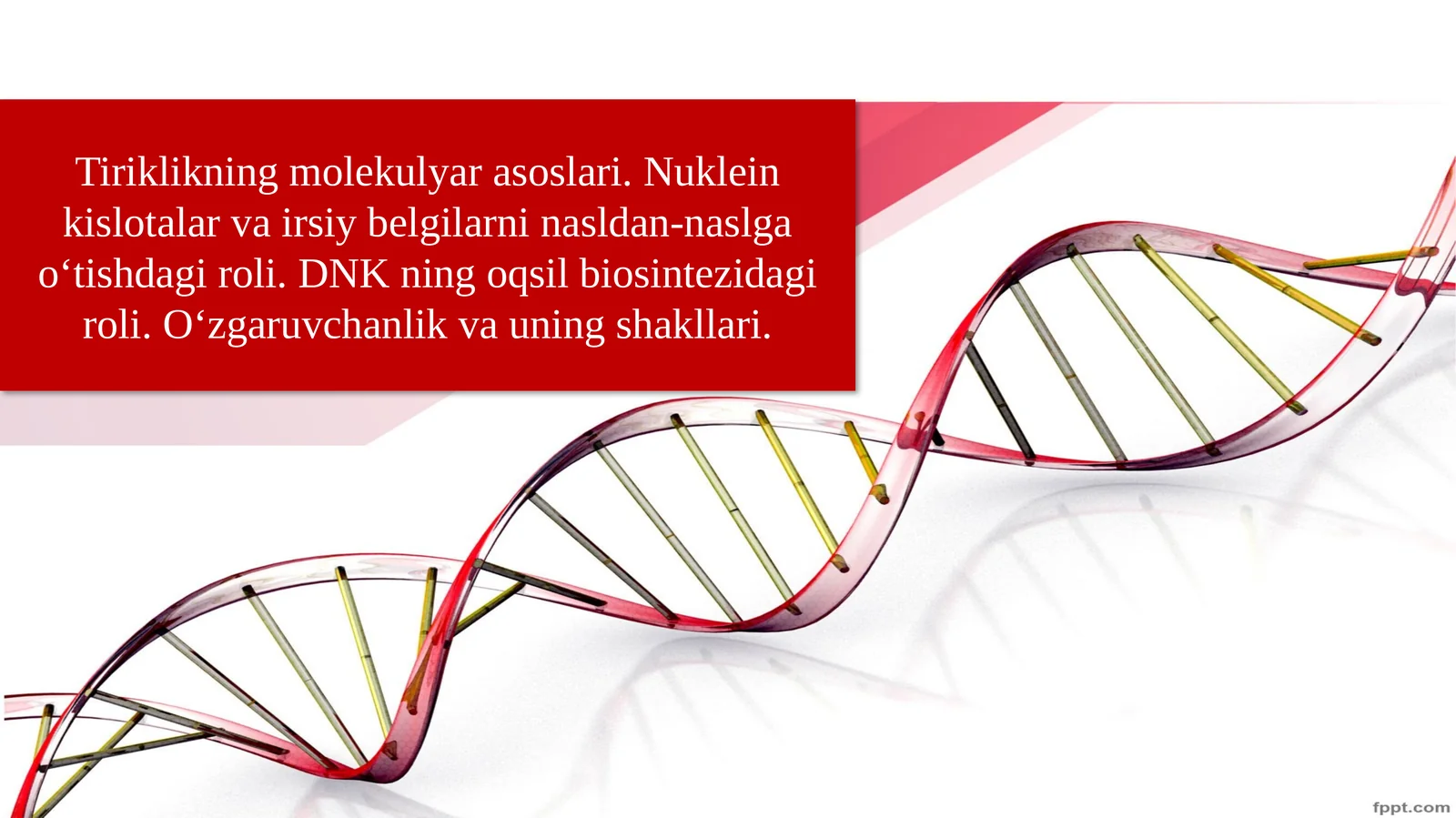 Nuklein kislotalar va irsiy belgilar