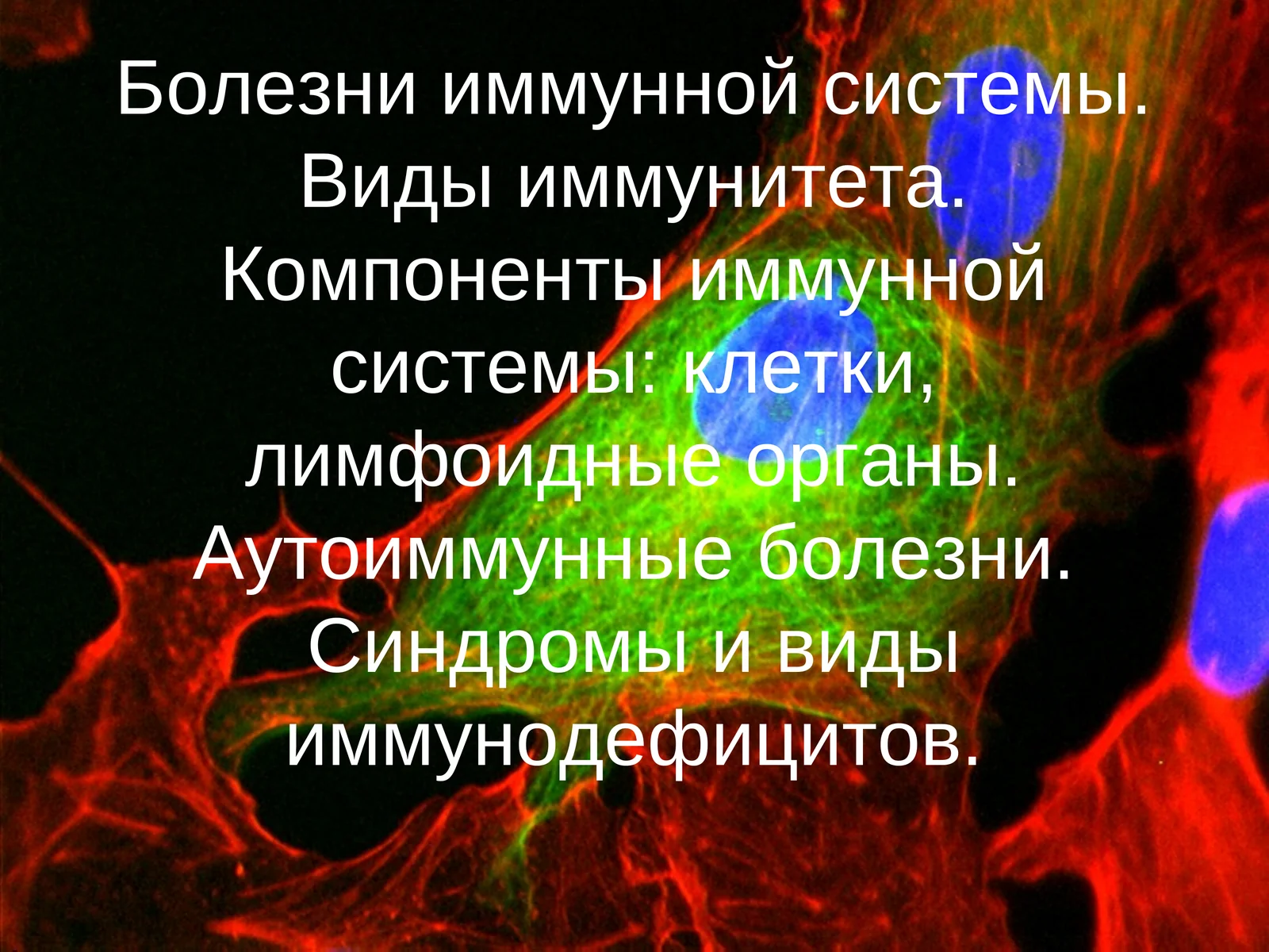 Болезни иммунной системы. Виды иммунитета. Компоненты иммунной системы