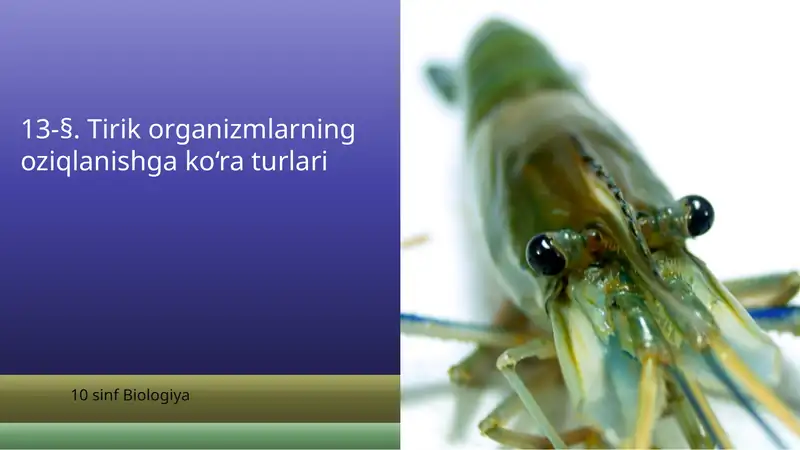 Tirik organizmlarning oziqlanishga ko‘ra turlari