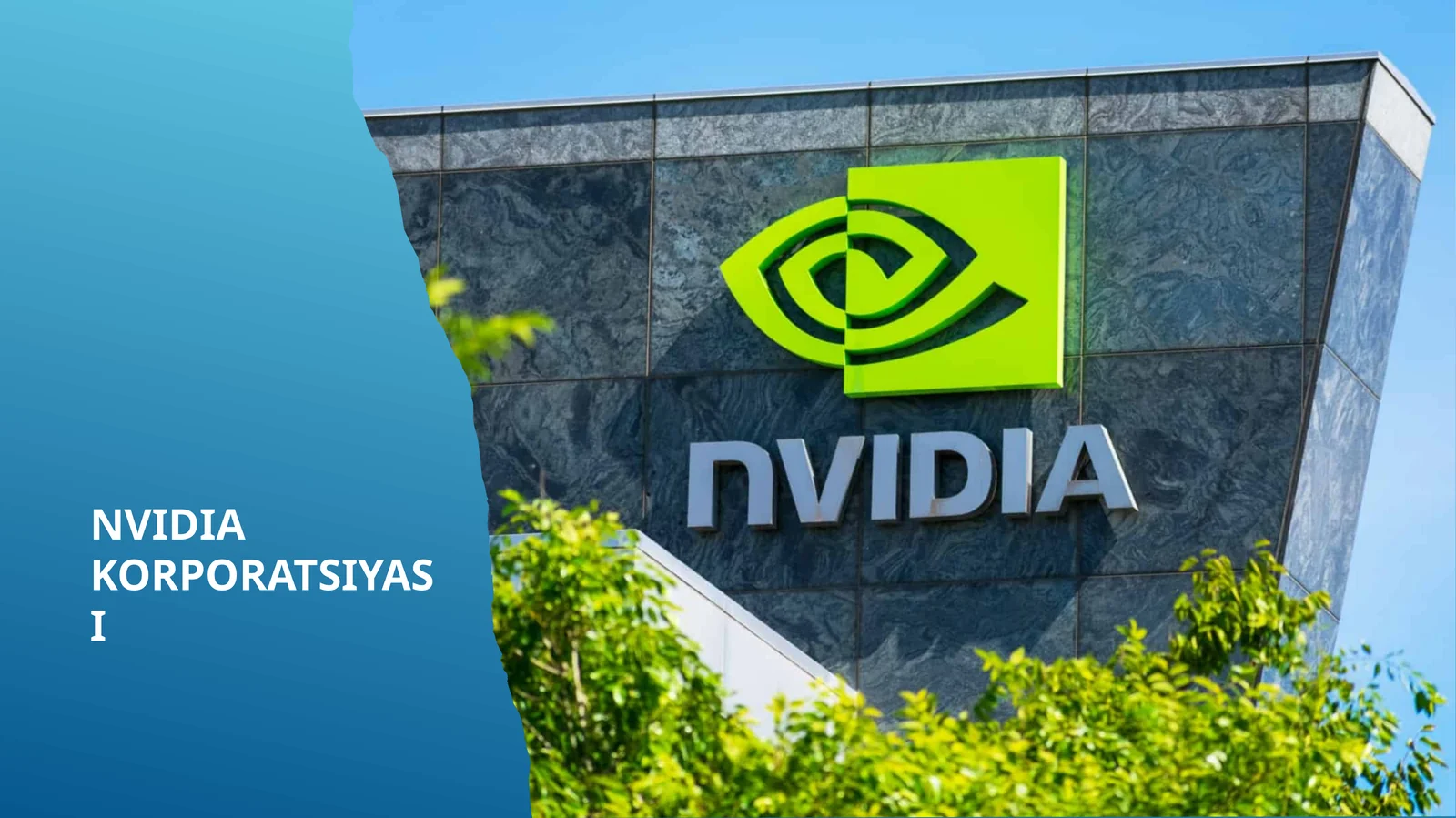NVIDIA KORPORATSIYASI