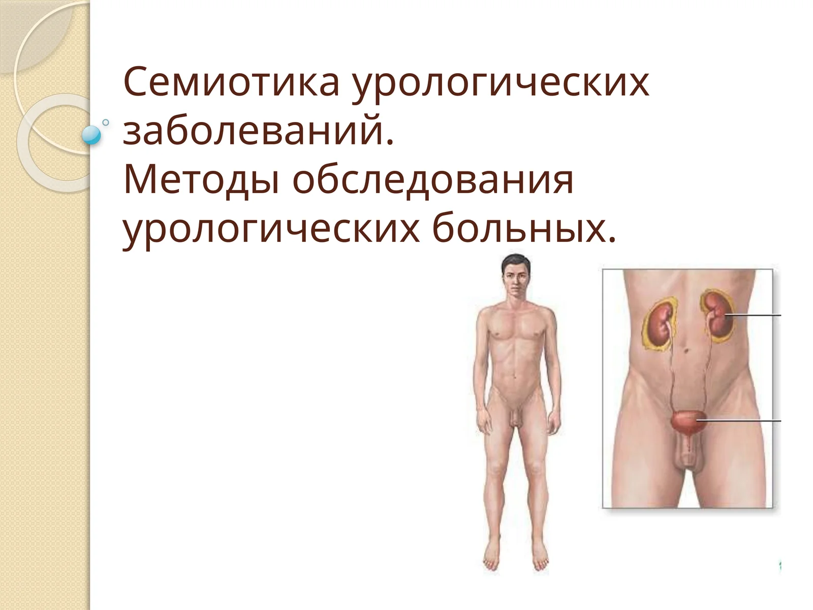 Семиотика урологических заболеваний. Методы обследования урологических больных